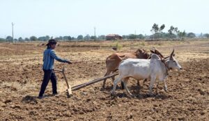 Farmers’ health important for a healthy nation?