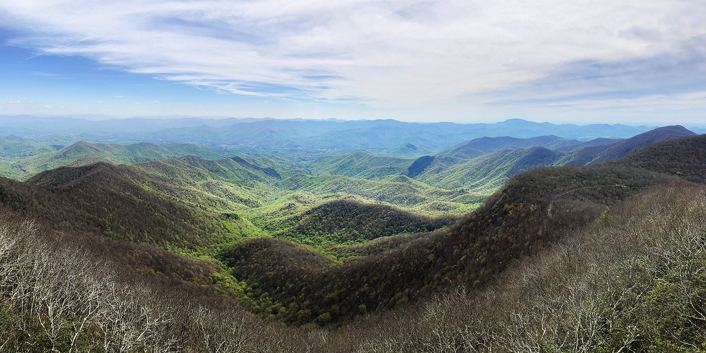 5 Temperate rainforests around the world