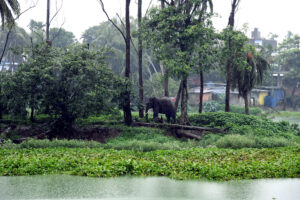 Aaranyak holds collaborative workshops on wildlife crime prevention