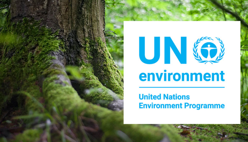 UNEP set to reveal 2023 Champions of the Earth Awardees