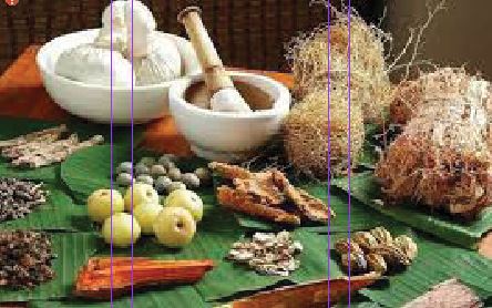 Ayurvedic Tips for Preventing Common Kidney Conditions