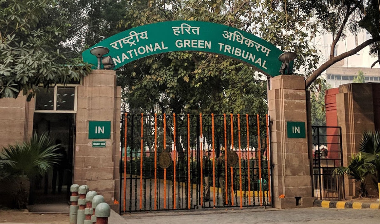 NGT Issues Notice to Faridabad Thermal Power Station Over Fly Ash Disposal Concerns