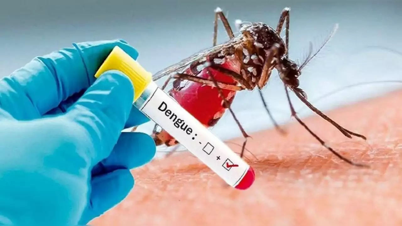 Bihar reports 6,146 dengue cases in September