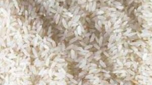 India allows non-basmati rice exports to another 7 countries