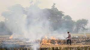 Stubble burning on rise in Haryana, Punjab and UP