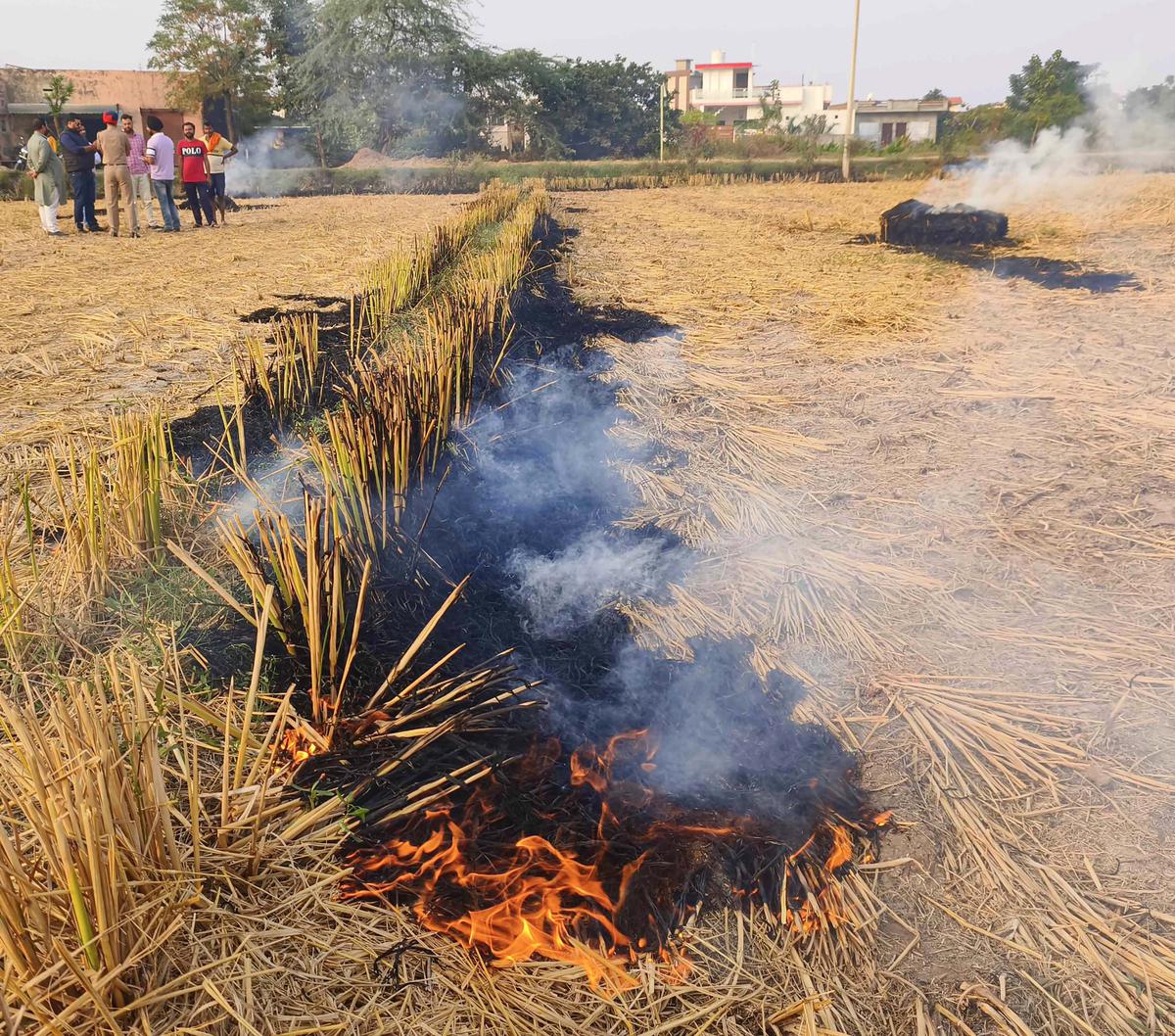 Supreme Court concerned over Delhi and Punjab climate; Haryana CM denounces politics on stubble burning