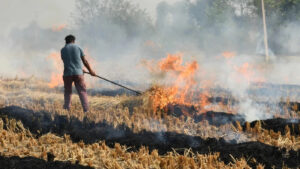 2 farmers arrested amidst stubble burning dispute with govt officials