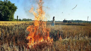 Determined Punjab officials battle stubble fires amidst growing concern for air quality