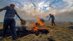 Farmers to protest against punitive measures for crop residue burning on Nov 20