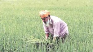 Crop loan disbursement in Kharif season falls short by 24%: official data reveals