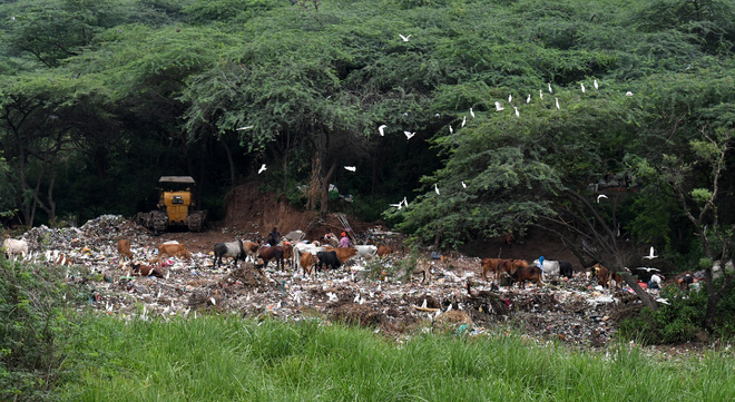 Panchkula MC enforces solid waste management charges, sparks resident discontent