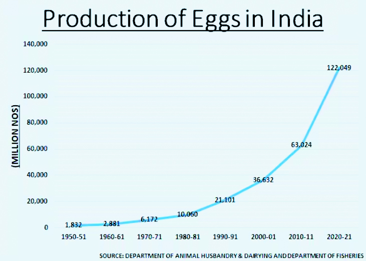 Surge in Milk, Egg, and Meat Production in India