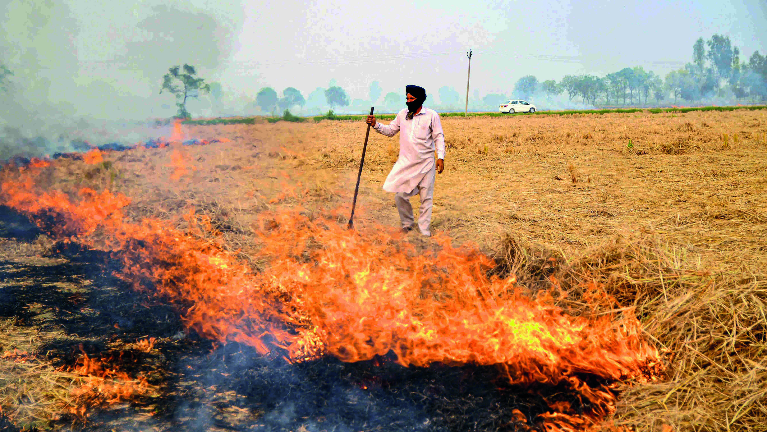 Haryana reports minimal stubble burning, contrasting with alarming numbers in Punjab