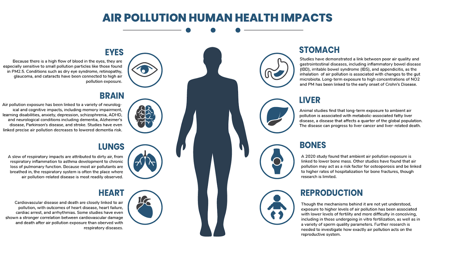 Poor air quality affects mental development of children, say health experts