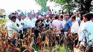 Central team surveys drought-hit areas in Jalgaon, assesses crop damage