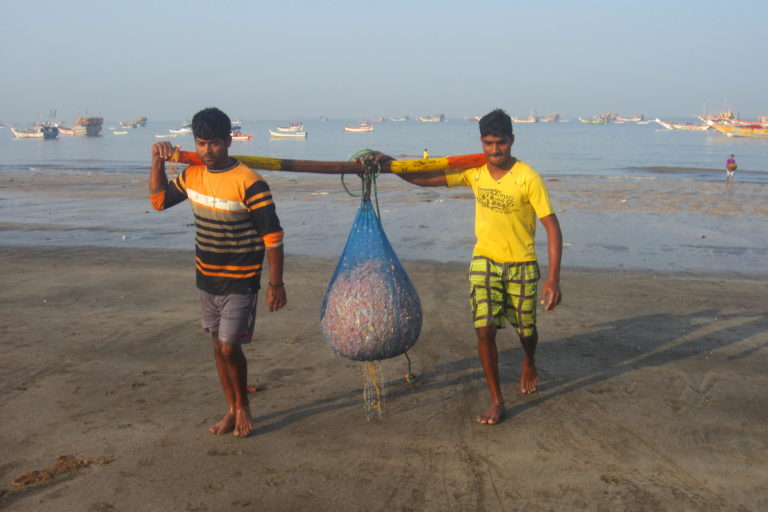 Extreme weather affects Mumbai’s fishermen, diminishing catches