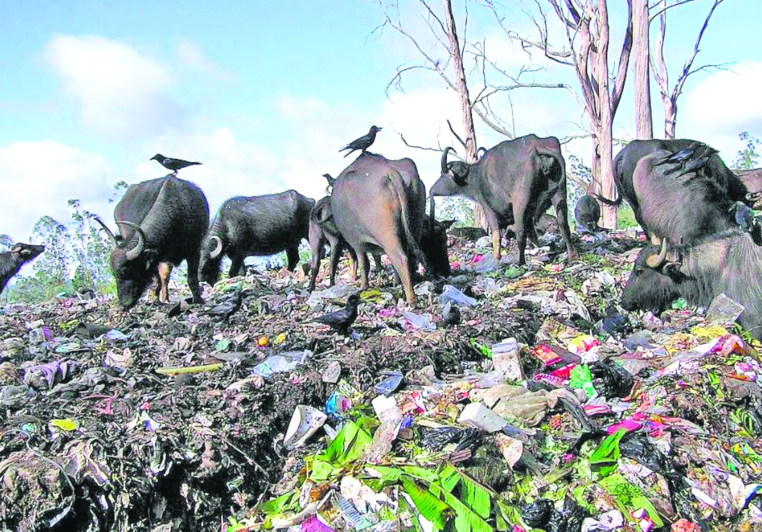 States fined Rs 79,098 crore for solid waste management violations