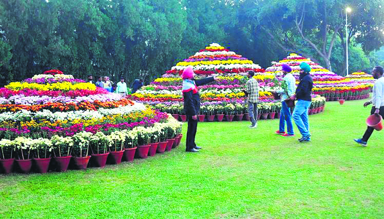 Chandigarh introduces waste-to-wonder park at chrysanthemum show