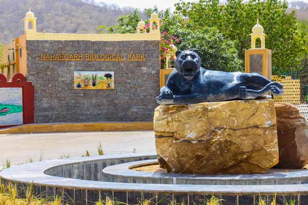 Nahargarh Biological Park: Where Wildlife Meets Wilderness in the Heart of Rajasthan