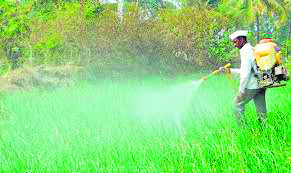 Agriculture department fails to meet collection targets for seed, pesticides and fertilizers