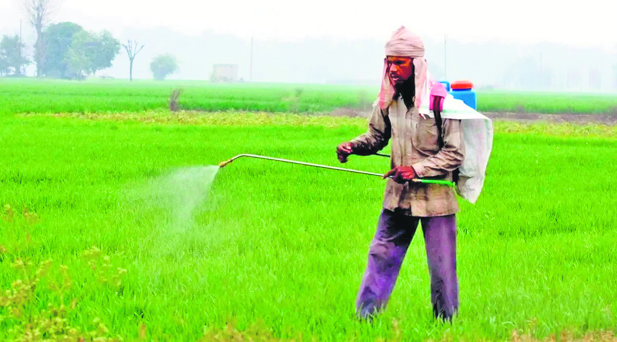 283 convicted and imprisoned for selling substandard quality pesticides and agri-inputs