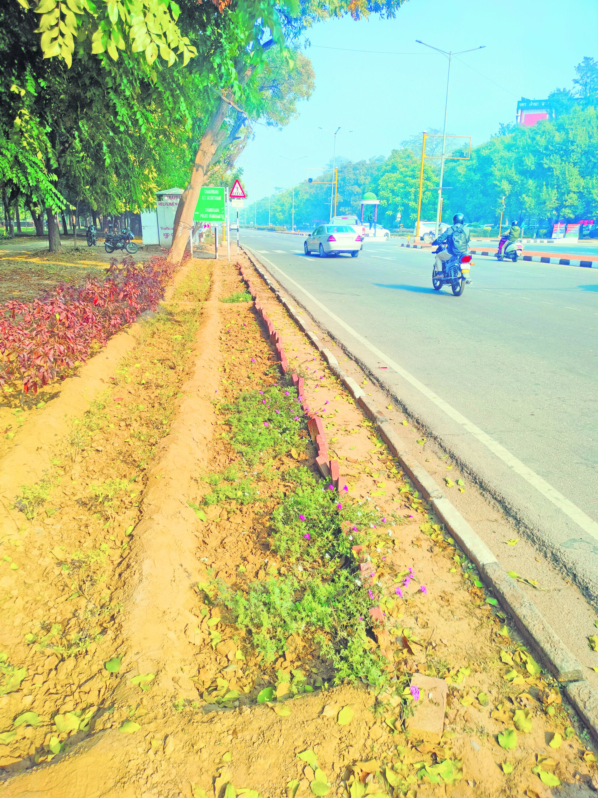 City beautification: Administration accused of negligence and bribery in horticulture contracts