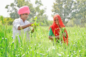 Bhoomi Shakti: Unveiling the Resilient Spirit of Rajasthani Women in Agriculture