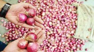 Onion farmers from Maharashtra seek audience with PM Modi to address crisis