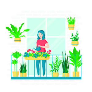 Five Easy-to-Maintain Indoor Plants for Green Enthusiasts