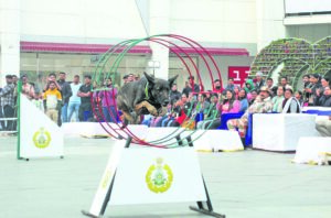 Nexus Elante hosts ITBP band performance and dog show on 75th R-Day