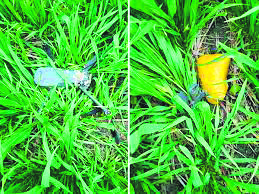 BSF recovers Pak drone in Tarn Taran, suspected heroin packet