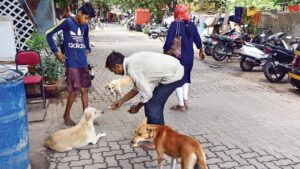 BMC initiates dog census, collaborates with animal welfare organizations