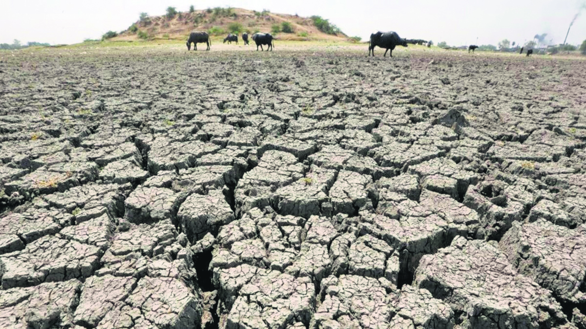 Haryana witnessing declining groundwater level, an alarming situation