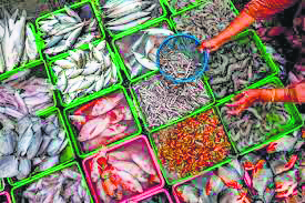 Land disputes hampering fisheries promotion in Haryana