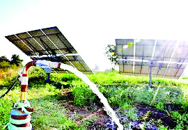 Online applications for solar water pumping systems  can be made from Jan 19