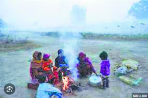 Cold wave across Punjab, Chandigarh faces disruptions due to flight cancellations and train delays