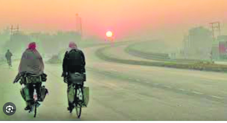 Haryana faces triple weather alert: Dense fog and record cold grips state