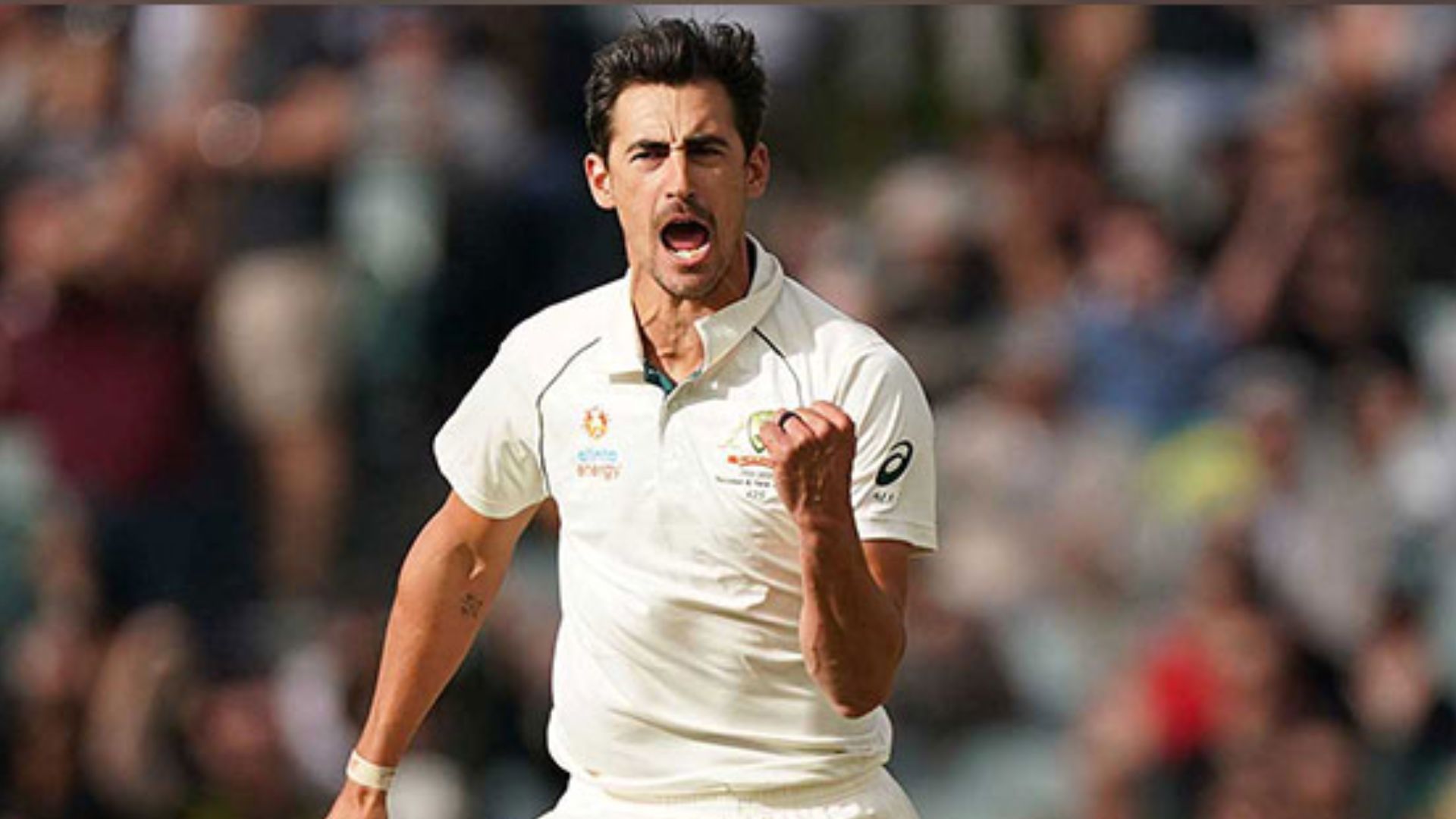 Australia’s Mitchell Starc takes 350 wickets in Test cricket