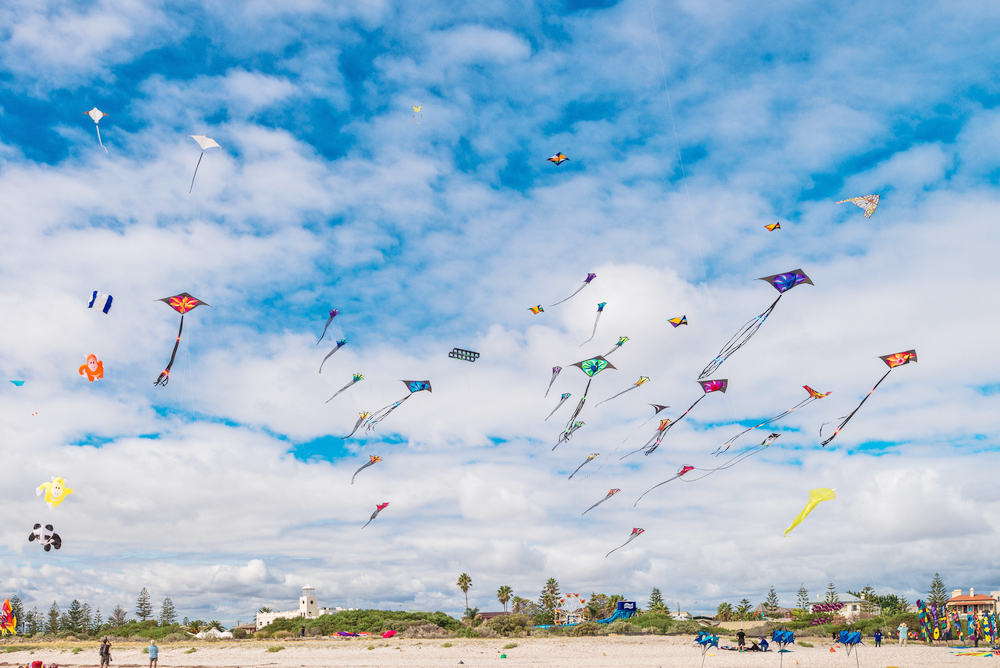 Makar Sankranti festivities marred by fatal kite flying incidents