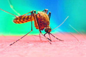 Navigating the web of mosquito-borne diseases, depression and stigma