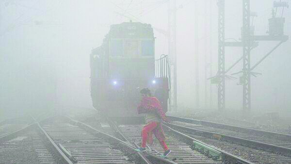 Temperature plummets as dense fog engulfs Haryana; Orange alert for next two days