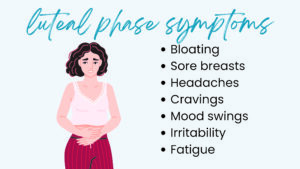 What is Luteal Phase and what this means in your reproductive journey?