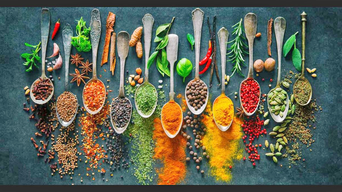 An eclectic pallete of Rajasthan’s delightful journey of Flavors: A Vibrant State with Colours of Spices