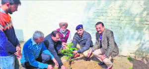 Lions Club Derabassi plants saplings at Mubarikpur DSP office