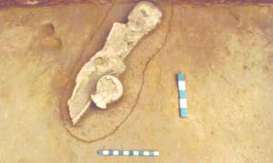 Neolithic child burial site discovered in TN