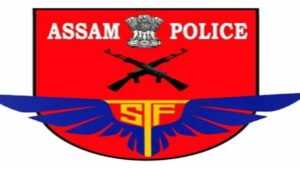 STF apprehends 2 drug peddlers