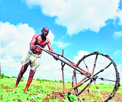 Absence of adequate cold storage facilities adding to woes of farmers in Haryana