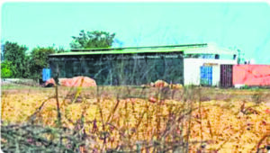 Aravali retreat: Unauthorized airstrip sparks environmental concerns