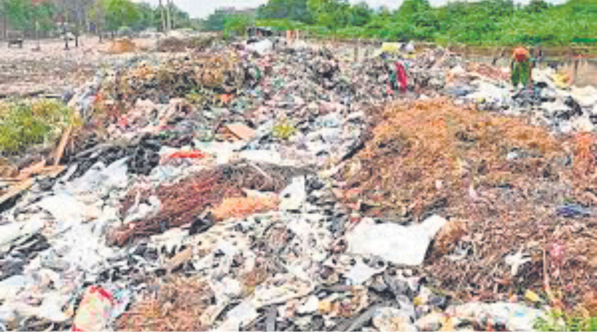 Three-member panel to review sanitation deal with Ecogreen