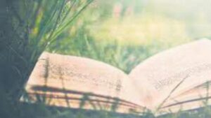 Bibliotherapy: Using Books as a Tool for Healing and Self-Discovery